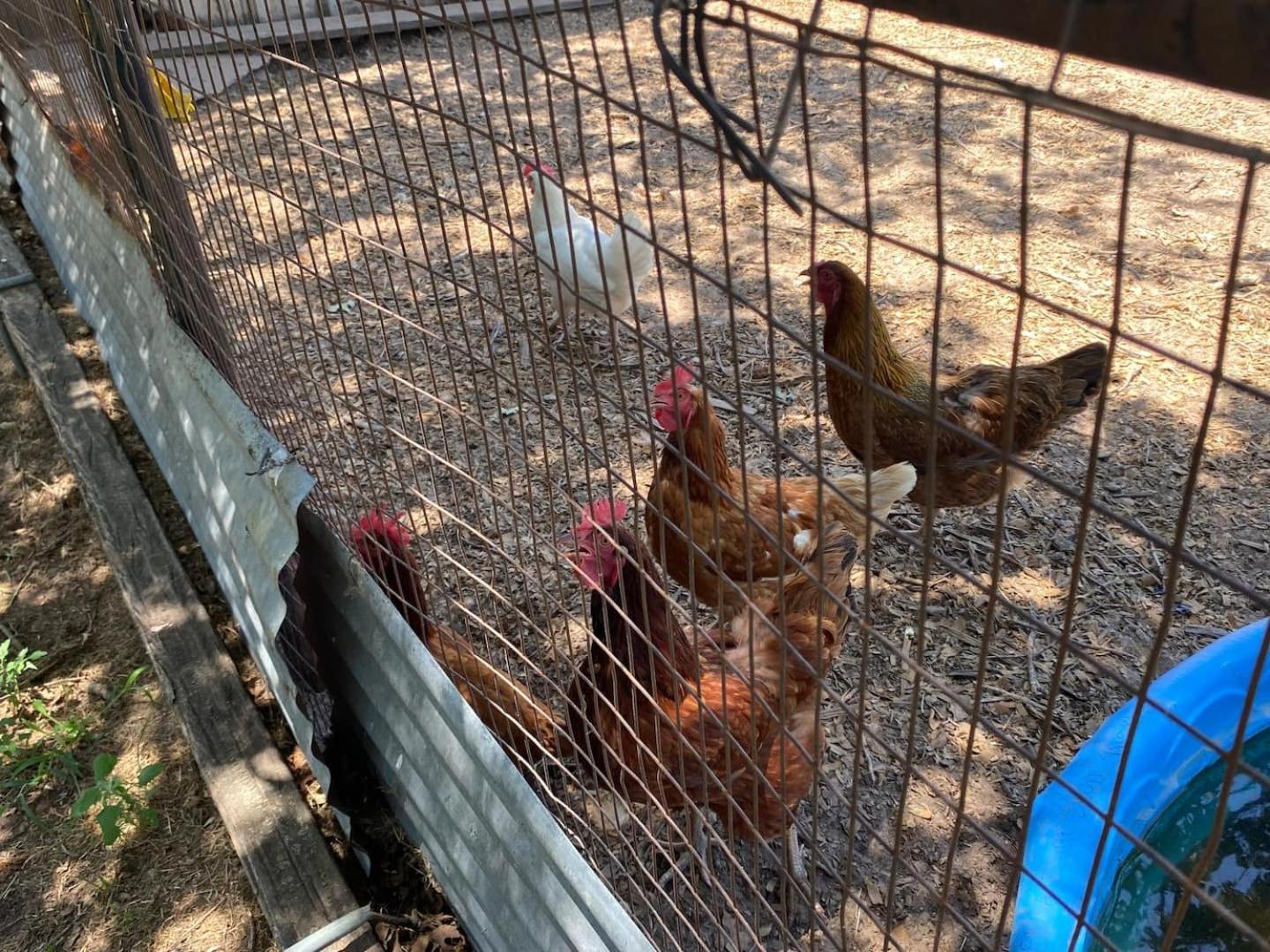 Nature Retreateclectic Country Boho Farmhouse Nocona エクステリア 写真