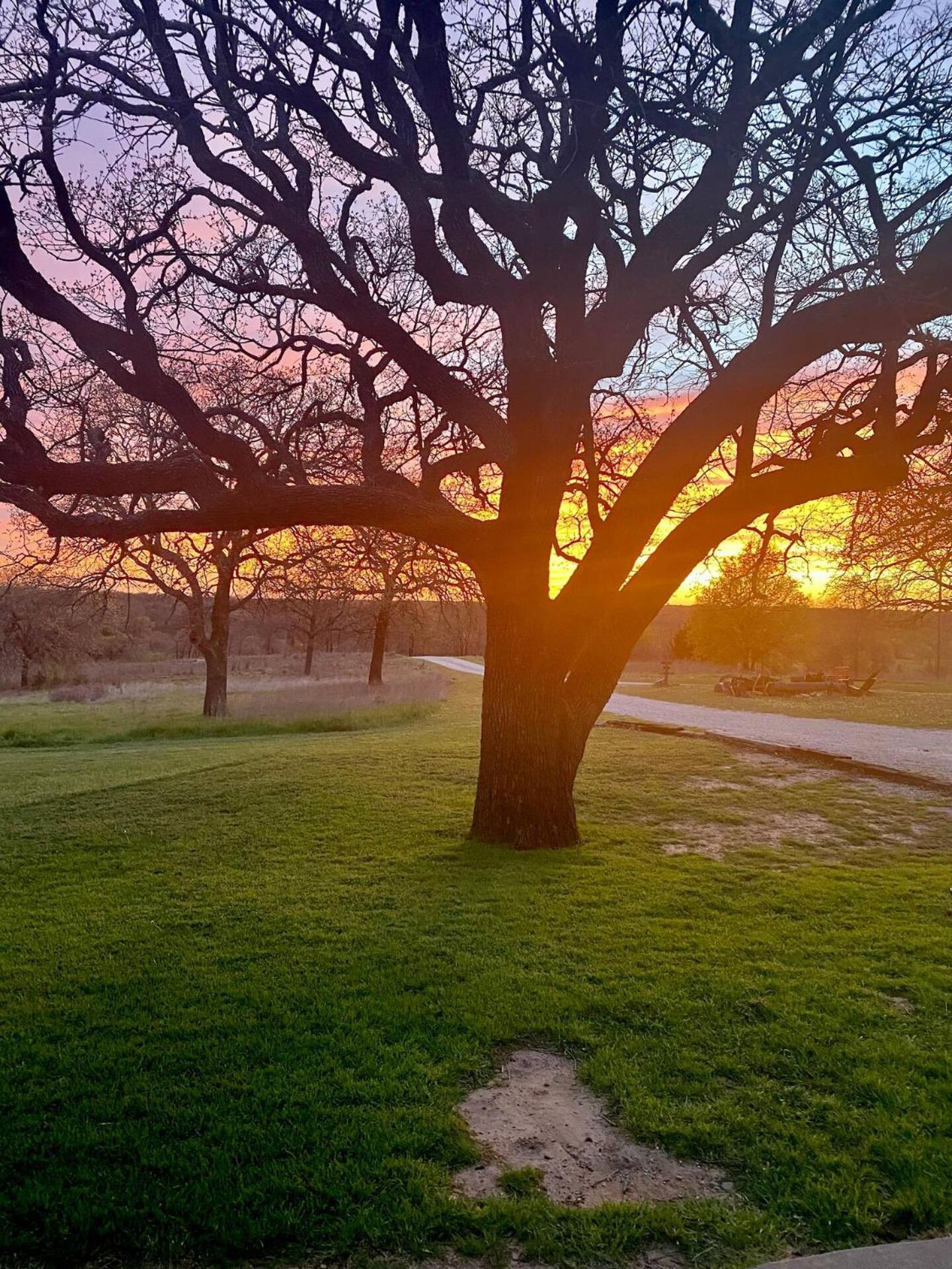 Nature Retreateclectic Country Boho Farmhouse Nocona エクステリア 写真