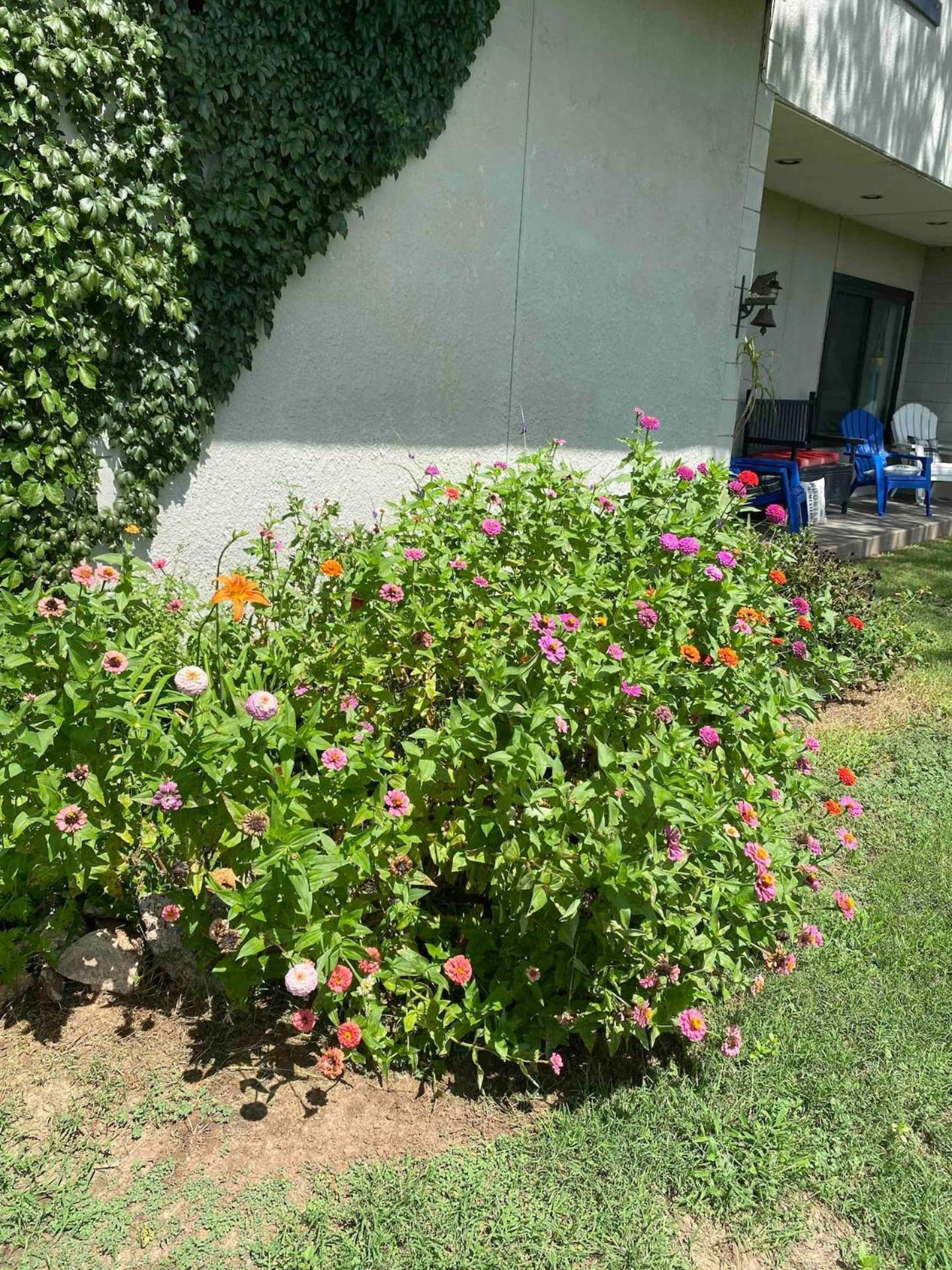 Nature Retreateclectic Country Boho Farmhouse Nocona エクステリア 写真